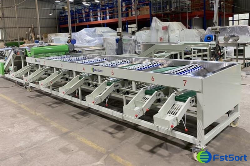 images/1749717588102clasificadora de ajo comercial.jpg